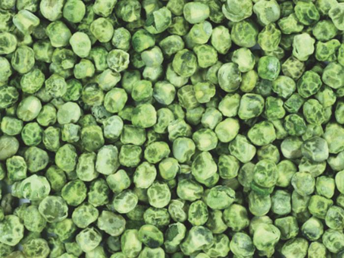 Dehydrated Green Pea